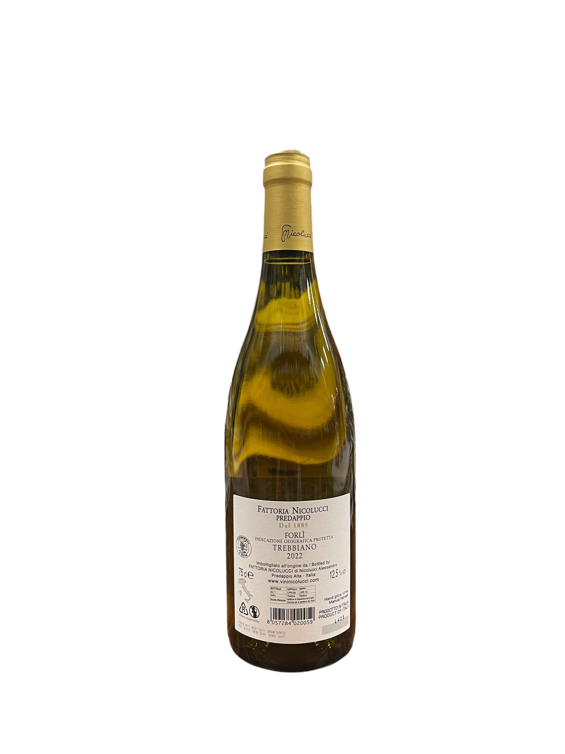 Fattoria Nicolucci Predappio Trebbiano IGP 2022 12,5% Vol 75 cl